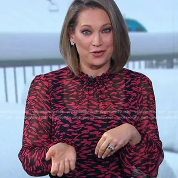 Allison Joy For Evereve XL Red Black Ruffle Blouse Long Sleeve Sheer Top - Picture 8 of 9